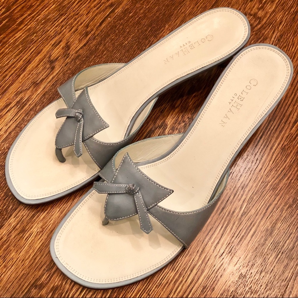 Blue-Gray Cole Haan Kitten-Heel Sandal Size 9